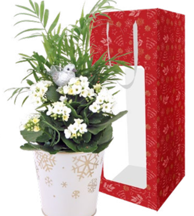 Snowflake Garden Small