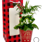 Angel Garden in Gift Bag Small