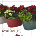 Small Oval