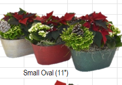 Small Oval