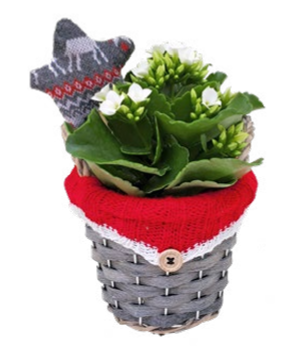 Hygge Sweater Basket SM