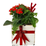 Kerst Garden Small