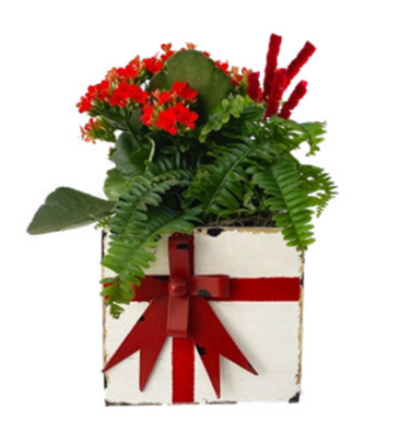 Kerst Garden Small