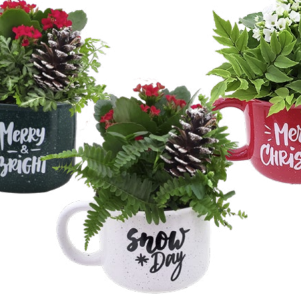 Christmas Garden Mix