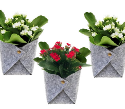 Pewter Felt Upg. Small