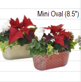 Mini Oval