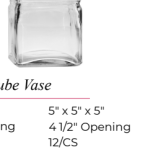 Rimmed Cube Vase, 5"