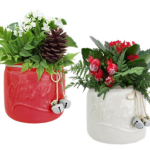 Blue Spruce Mason Jar