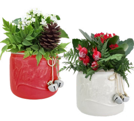 Blue Spruce Mason Jar