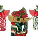 Jolly Cover Set