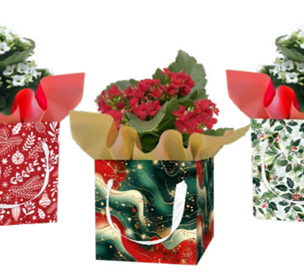 Jolly Cover Set