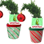 Avalanche Grinch