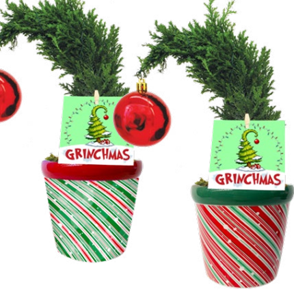 Avalanche Grinch
