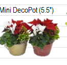 Mini Decopot