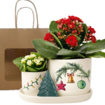 Holly Jolly Double Tray