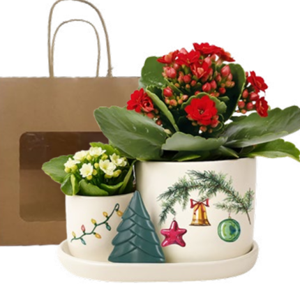 Holly Jolly Double Tray