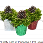 Frosty Fern 4" W/ PC & Pinecone Pick