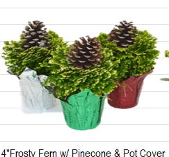 Frosty Fern 4" W/ PC & Pinecone Pick