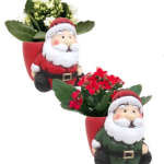 Jolly Santa Mini