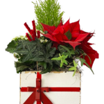 Kerst Garden Large