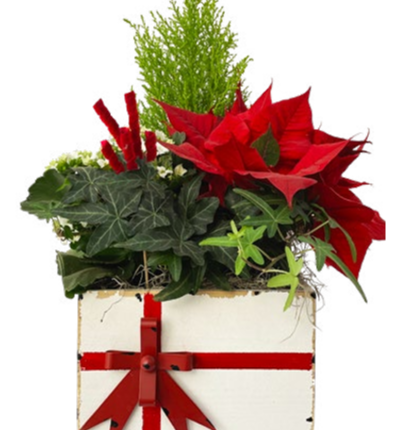 Kerst Garden Large