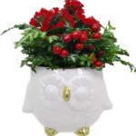Nora Owl Garden