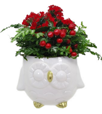 Nora Owl Garden