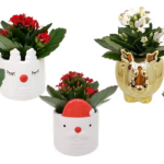 Christmas Novelty Mix