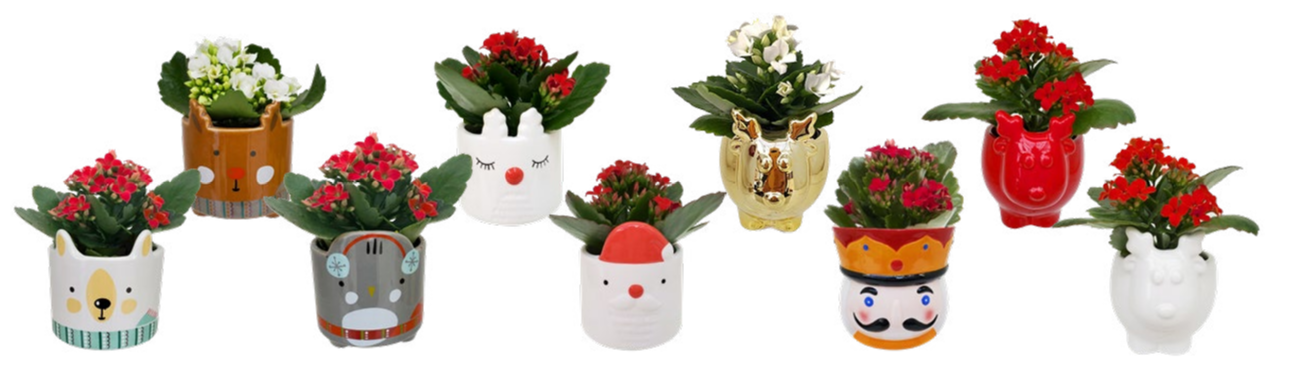 Christmas Novelty Mix Christmas Novelty Mix