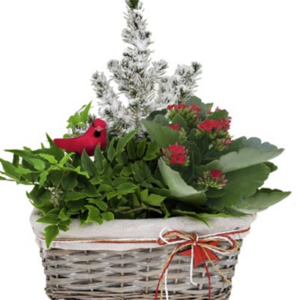Farmhouse Garden