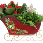 Dashing Sleigh