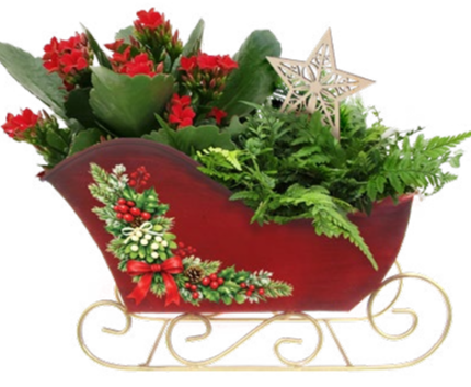 Dashing Sleigh