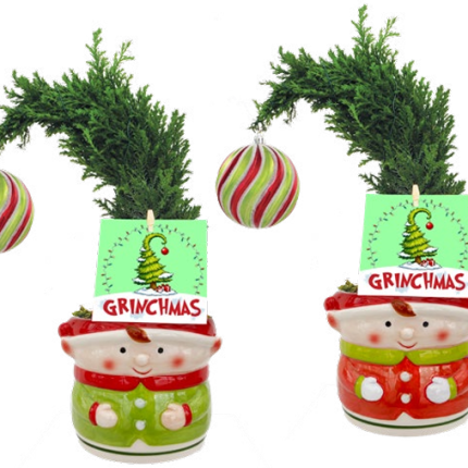 Buddy Elf Grinch