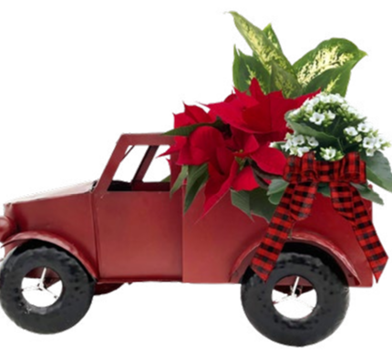 Pick Up Truck Garden