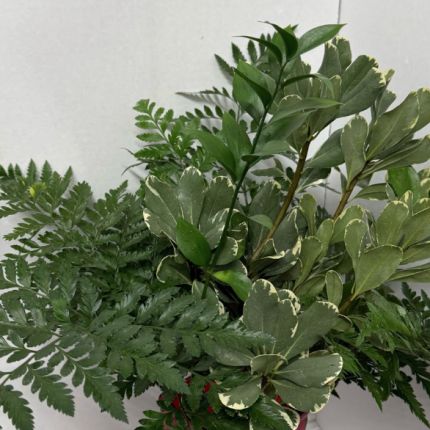 Delightful Greens