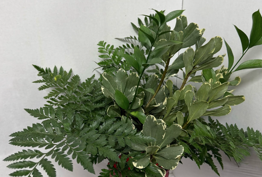 Delightful Greens