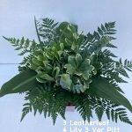 Grand Mix Ruscus